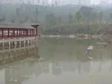 金科精‘装两房 次新小区 环境好 近轻轨*市