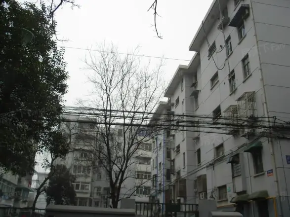锁金村10号