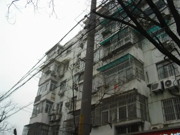 锁金村10号