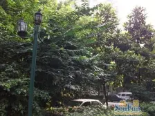 大坪 交通街一房37万