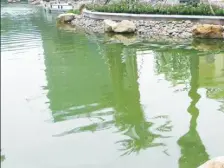 李渡新区 恒大山水城四房61.8万