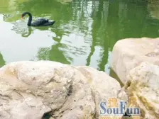 李渡新区 恒大山水城三房85万
