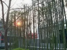 品质小区,交通便利,与公园为伴