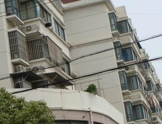 天晴花园实景图