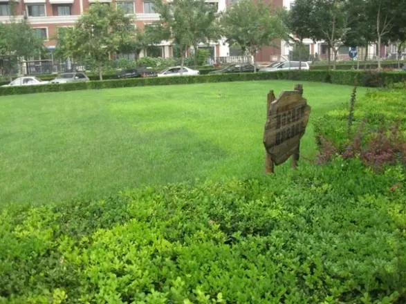 新东福花园别墅