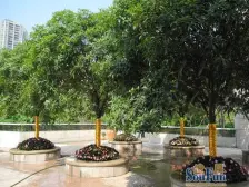 大坪次新小区,精装单配,拎包入住,水电气三通