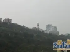 此房重新装修过 全屋智能精装 价格可议