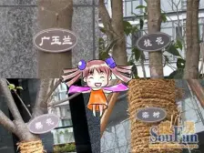 精装一线看江小户型,业主安心卖