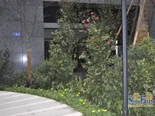 李子坝 长帆江岸公馆一房56万