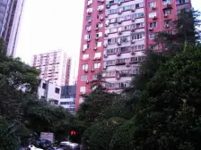 新华板块电梯朝南一房带厅 正看幸福268 开窗见绿 视野开阔