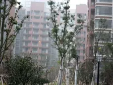 湖东·水墨三十度·3室·2厅