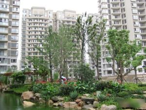 中间楼层两室朝南有钥匙随时看房