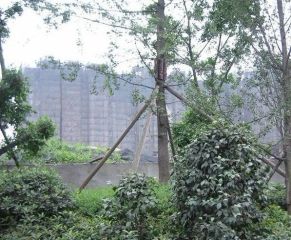 卡碧蓝湾3室2厅西南
