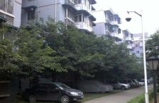 滨雅苑 3室2厅 南 北