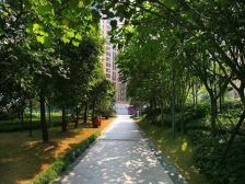 近华新街轻轨站北滨路中段园林小区板式大平层朝南