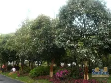 北滨路 招商江湾城四房