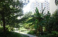 斜土路大木桥·衡园·3室·2厅