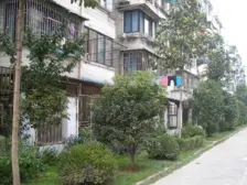 嘉善路,大木小区,中间楼层,正规三房,南北通透,全明户型