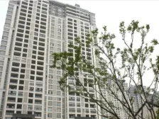 轻轨口 胥江 · 中海胥江府 即买即收益 沿街商铺