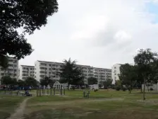 林枫苑温馨三房,房东自住装修,满五年,拎包住