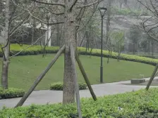 l隆鑫品质楼盘,正规两房,环境好,住家安静舒适,