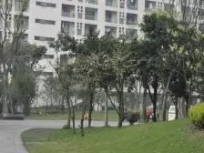 高新区 隆鑫花漾岭二房65万