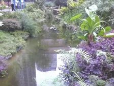 冉家坝 天邻风景三房105万