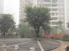 诚投天邻风景 2室1厅 西