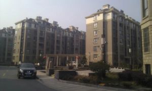 电梯精装公寓,住宅性质,朝南,低总价,民用标准水电