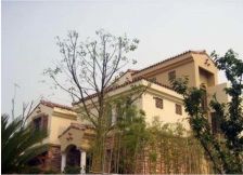 降价了!独栋别墅 占地1亩 临河 装修500万