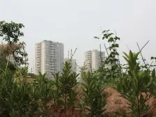 老城区 北碚学府小区四房280万