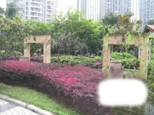 观音桥 鸿恩丽舍三房136万