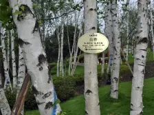 朝向采光好,精装修,楼层好,视野开阔