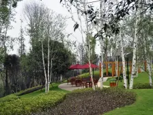 北麓国际城 3室1厅 南 北