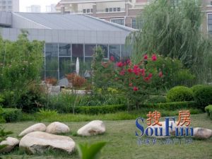 洛龙区隋唐地铁口建业美茵湖别墅带地下室花园价格可议
