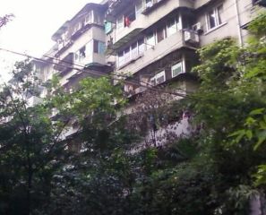 金鱼街9号 3室1厅 南