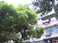 近地铁,满五 产权清晰,必看好房