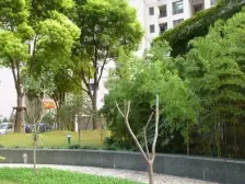 西凌一村 1室1厅 南