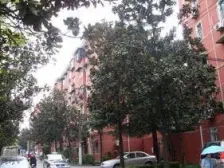 干部福利分房 中间楼层,毛坯,通风好 必看好房