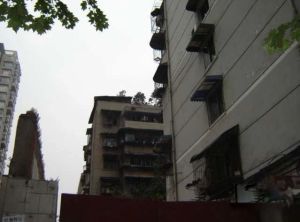 双庆路45号院2室1厅西南