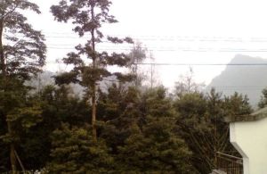 翠朗园3室2厅东