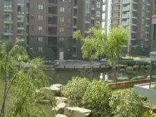 两路老城 春城四季三房50万