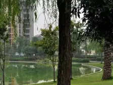 西区 立邦香语湖八房236万