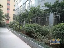 上清寺 汇美大厦三房260万