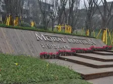 龙湖至德路9号联排中户,靠中庭 位置安静 大花园