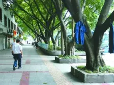 大溪沟 枣子岚垭菜市巷二房70.35万