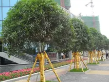 户型方正,采光好,无浪费面积,视野开阔