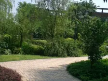 二郎 达飞彩云小城二房