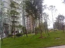 二郎 达飞彩云小城二房70万