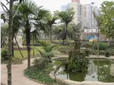 汽博商圈 青河苑 住家装修 户型方正 生活出行方便